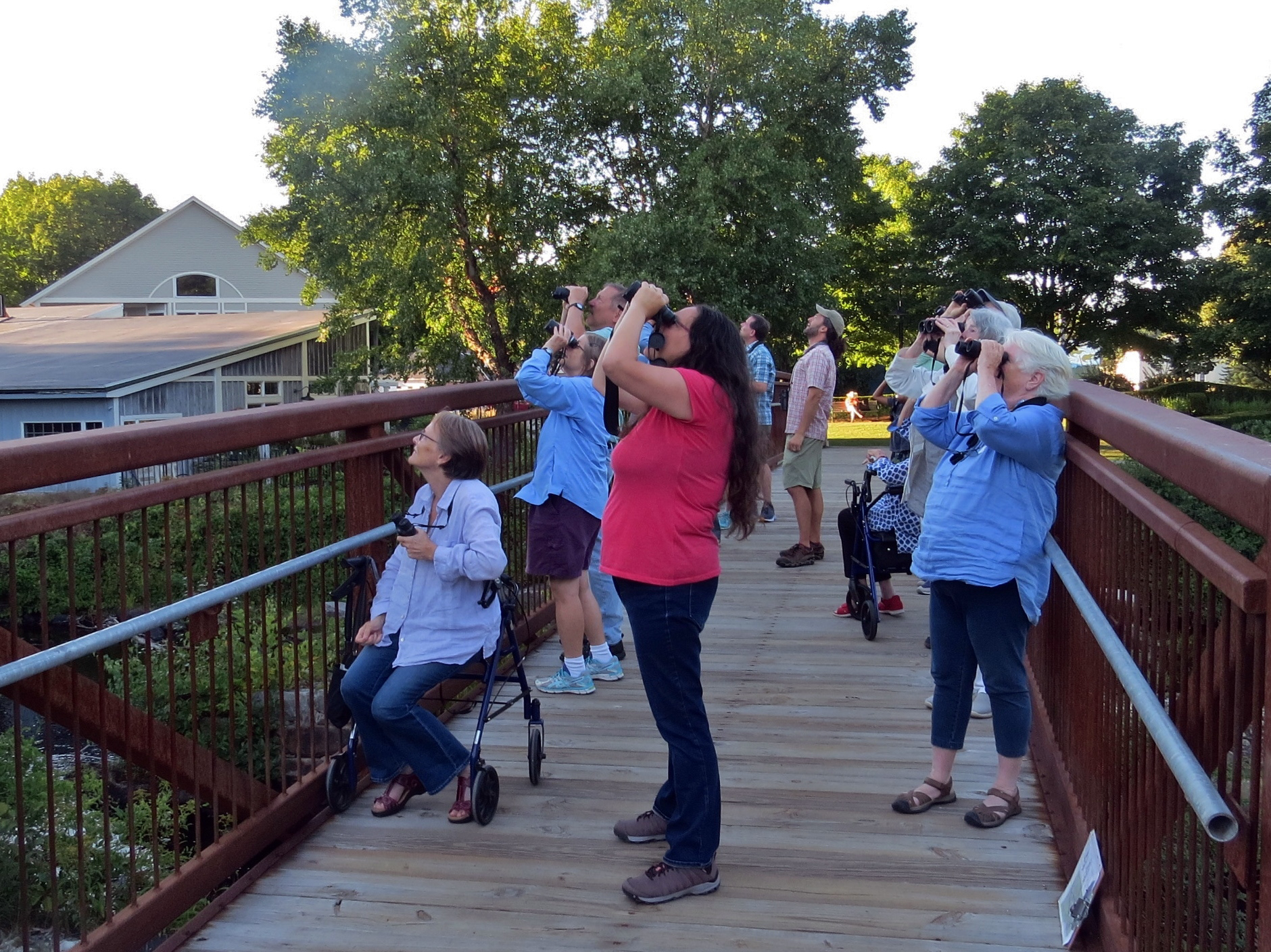 A group of birders life their binoculars to the sky on Brenner Bridge (photo: Meade Cadot)