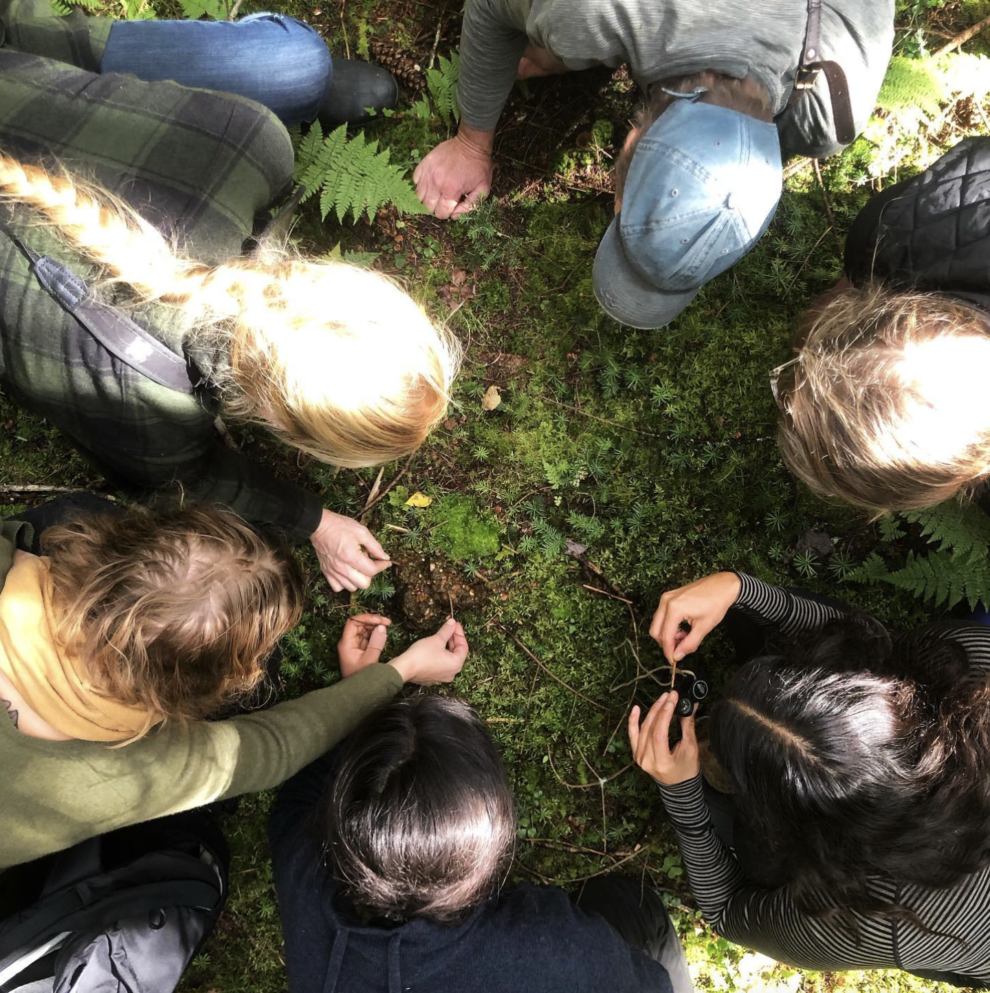 A group of foragers circle together to examine something on the forest floor. (photo: Fox Paw School)