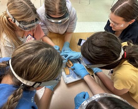 LAB GIRLS+ was designed to help middle school girls stay in love with science. (photo © Susie Spikol)