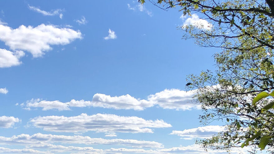 A blue sky with white clouds and a leafy tree in the foreground.