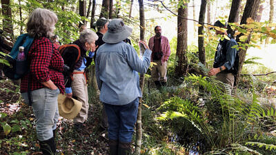 A group of hikers chats in the forest. (photo: Brett Amy Thelen)