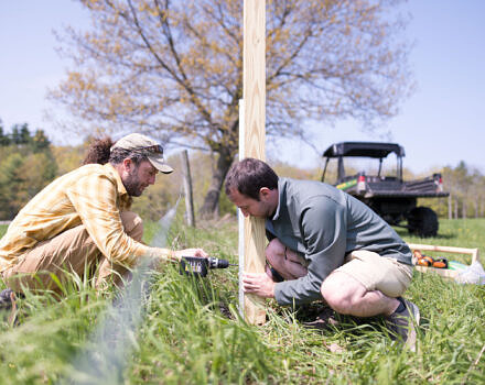 Phil Brown and Mike Valentino install a kestrel nest box. (photo © Ben Conant)