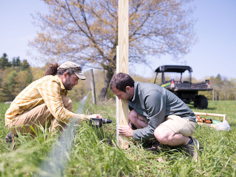 Bird Conservation Director Phil Brown works with intern Mike Valentino to install a nest box. (photo © Ben Conant)