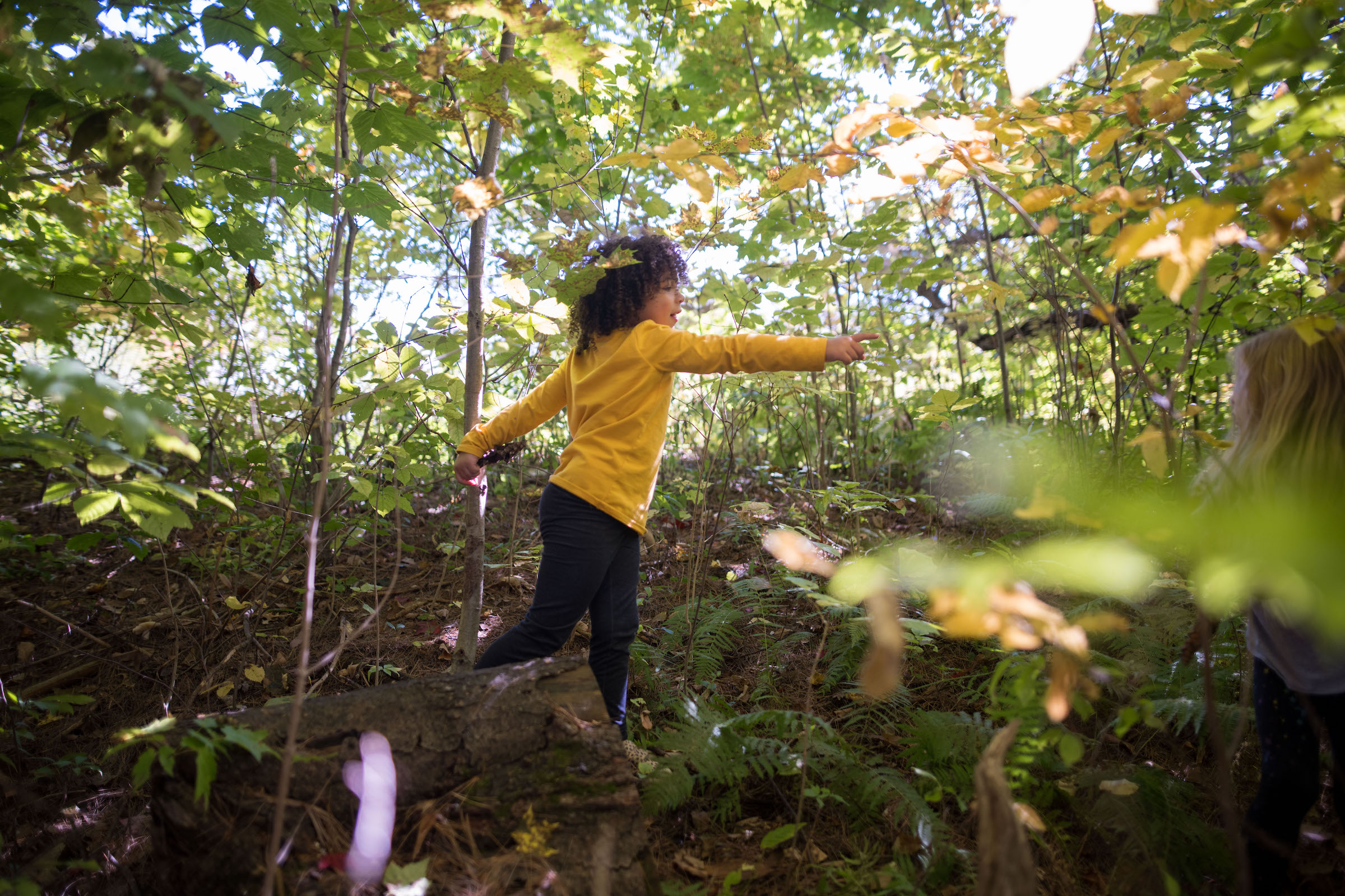 Two kids frolic through the sunny woods. (photo © Ben Conant)