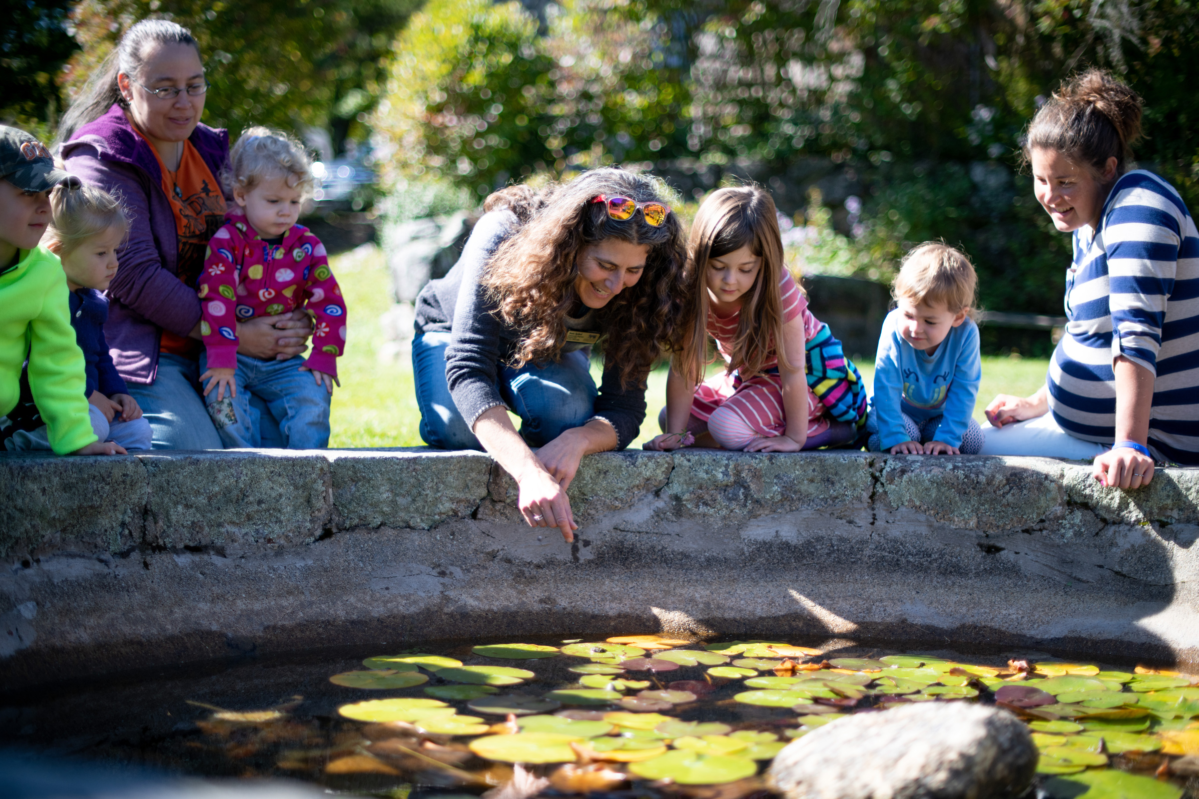 Children and adults gather around a small pond to look for pond life. (photo © Ben Conant)