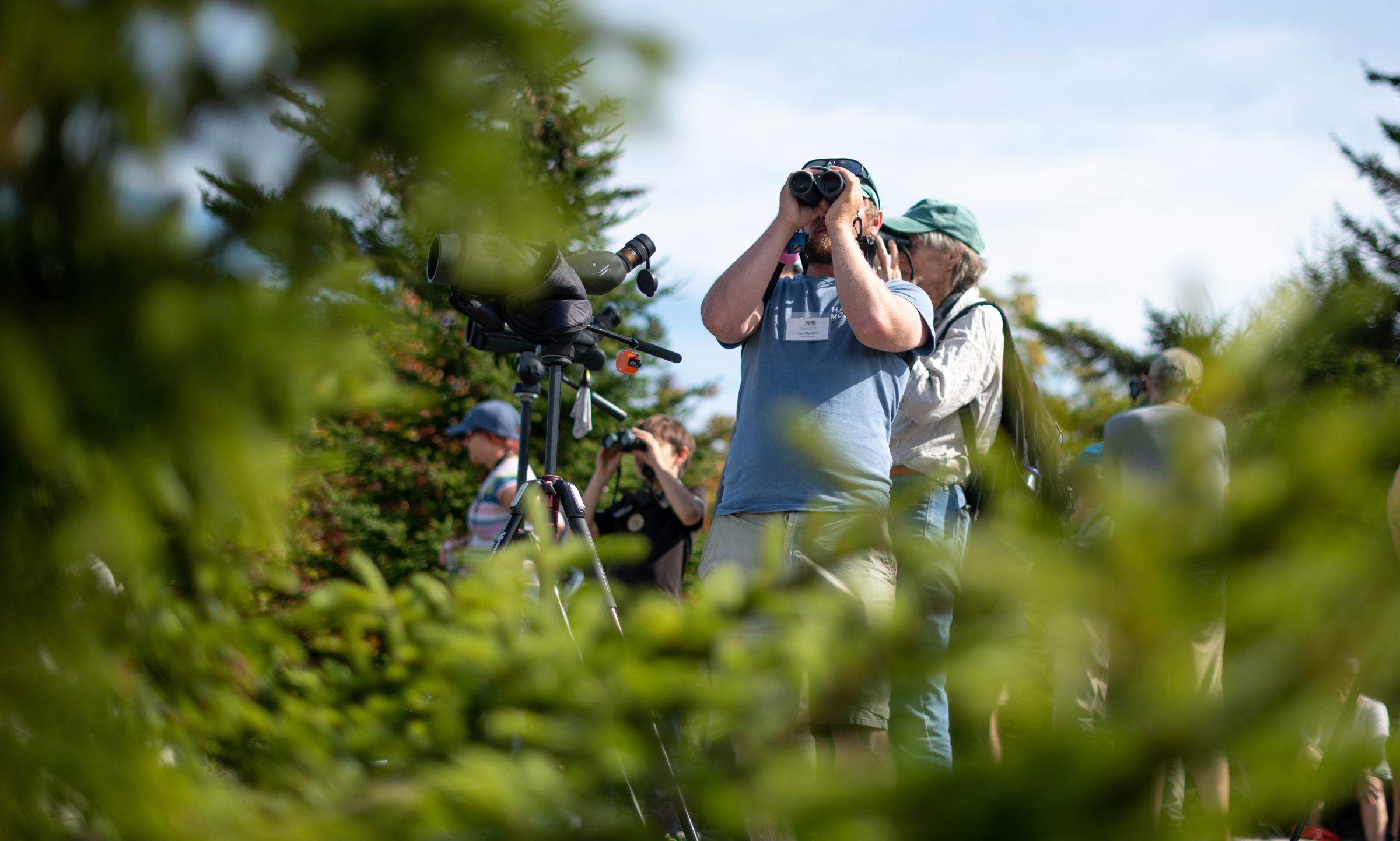 A birder holds binoculars up to his face; vegetation is in the foreground. (photo © Ben Conant)