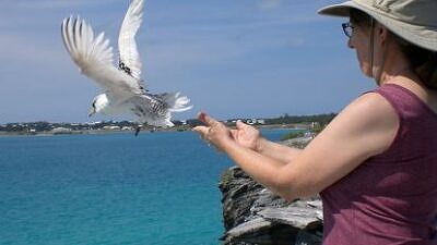 A woman releases a white bird into the air above a turquoise sea. (photo © Catherine Greenleaf)