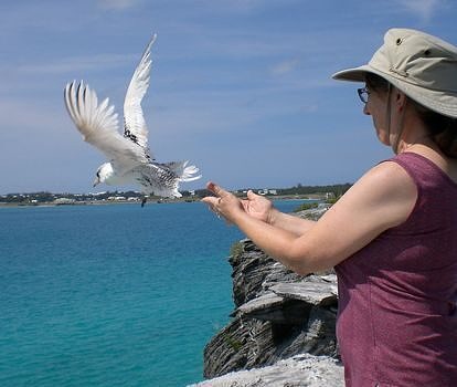 A woman releases a white bird into the air above a turquoise sea. (photo © Catherine Greenleaf)