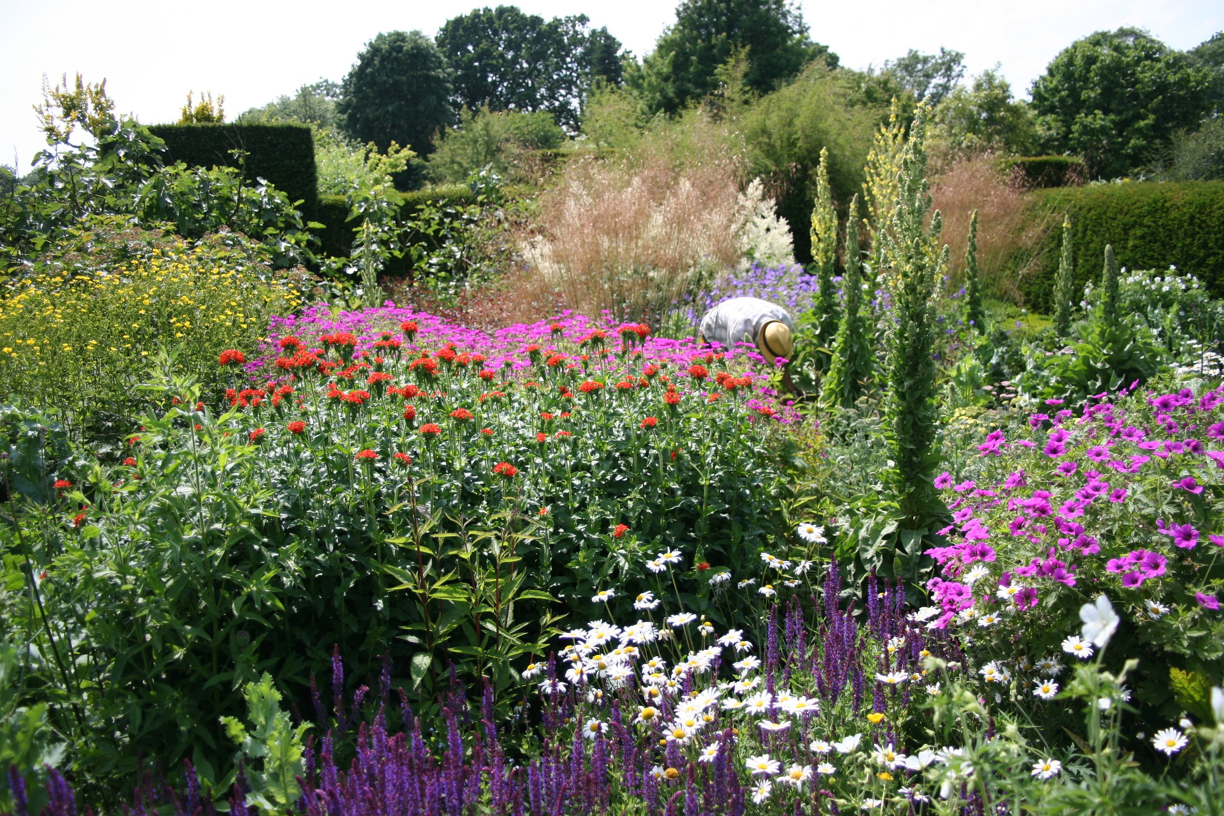 A garden, full of greenery and colorful blooms. (photo © Bell House)