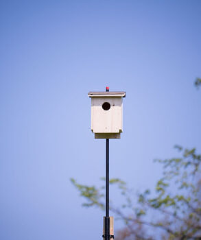 A newly installed kestrel box. (photo © Ben Conant)
