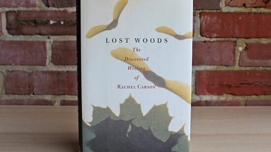 A book, Lost Woods, stands on a table against a brick background. (photo © The Standing Rabbit)