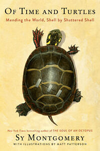 Book cover of "Of Time and Turtles: Mending the World Shell by Shattered Shell"