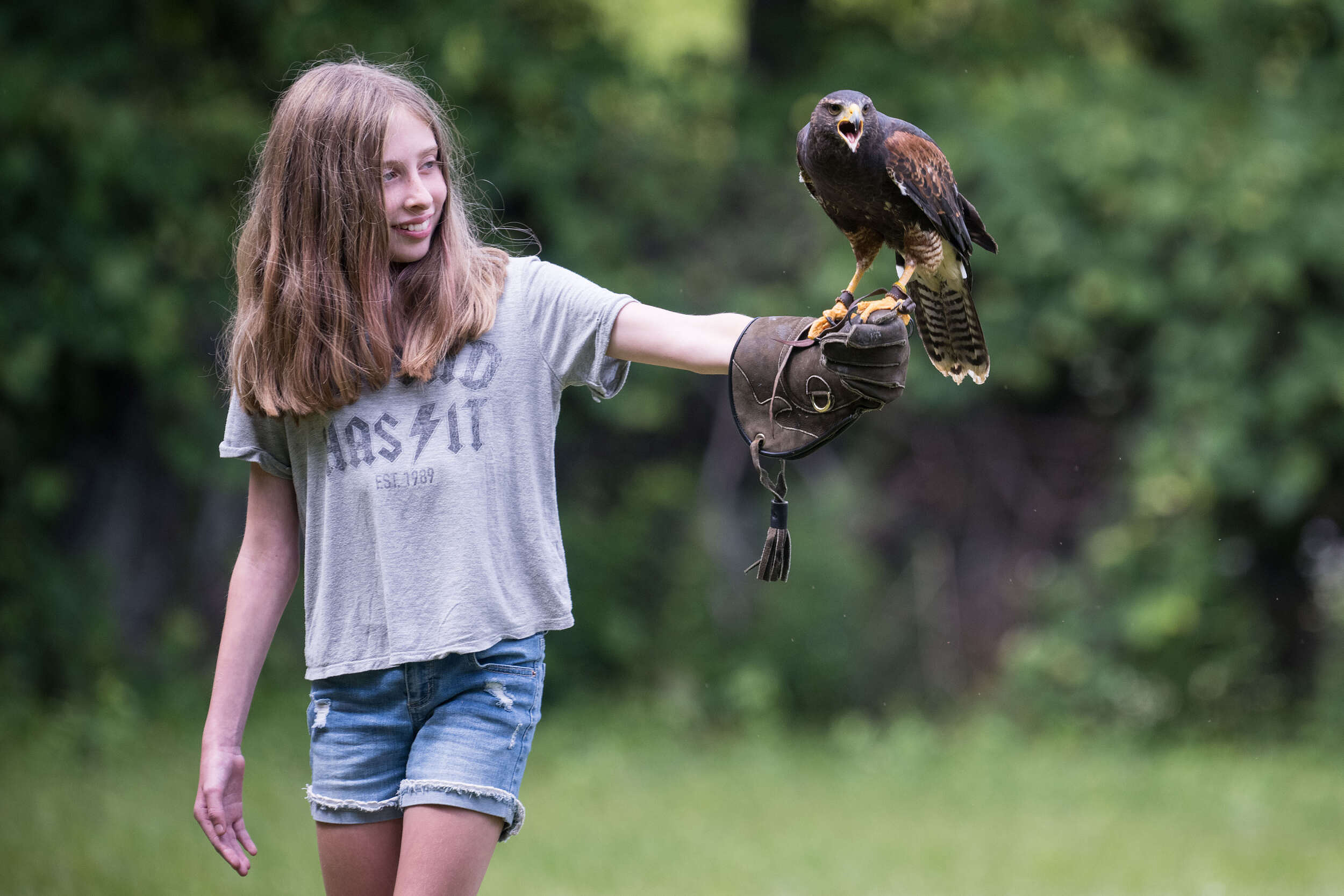 A girl extends her left hand out, holding a hawk. (photo © Ben Conant)