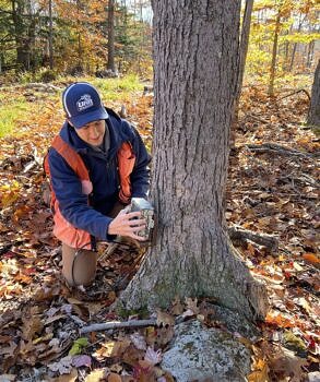 Andrew Butler, a graduate student at UNH, checks a trail camera on SuperSanctuary lands. (photo © Brett Amy Thelen)