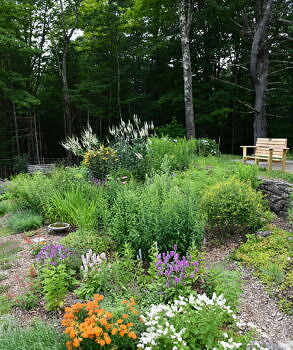 On our grounds, we have benches at the pollinator garden (pictured here), along Orr's Edge Trail, and under the yew trees. (photo © Audrey Dunn) 