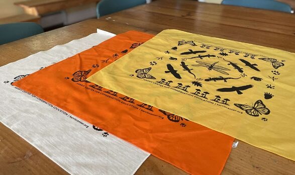 The bandanas are available in cream, orange, and yellow. (photo © Audrey Dunn)