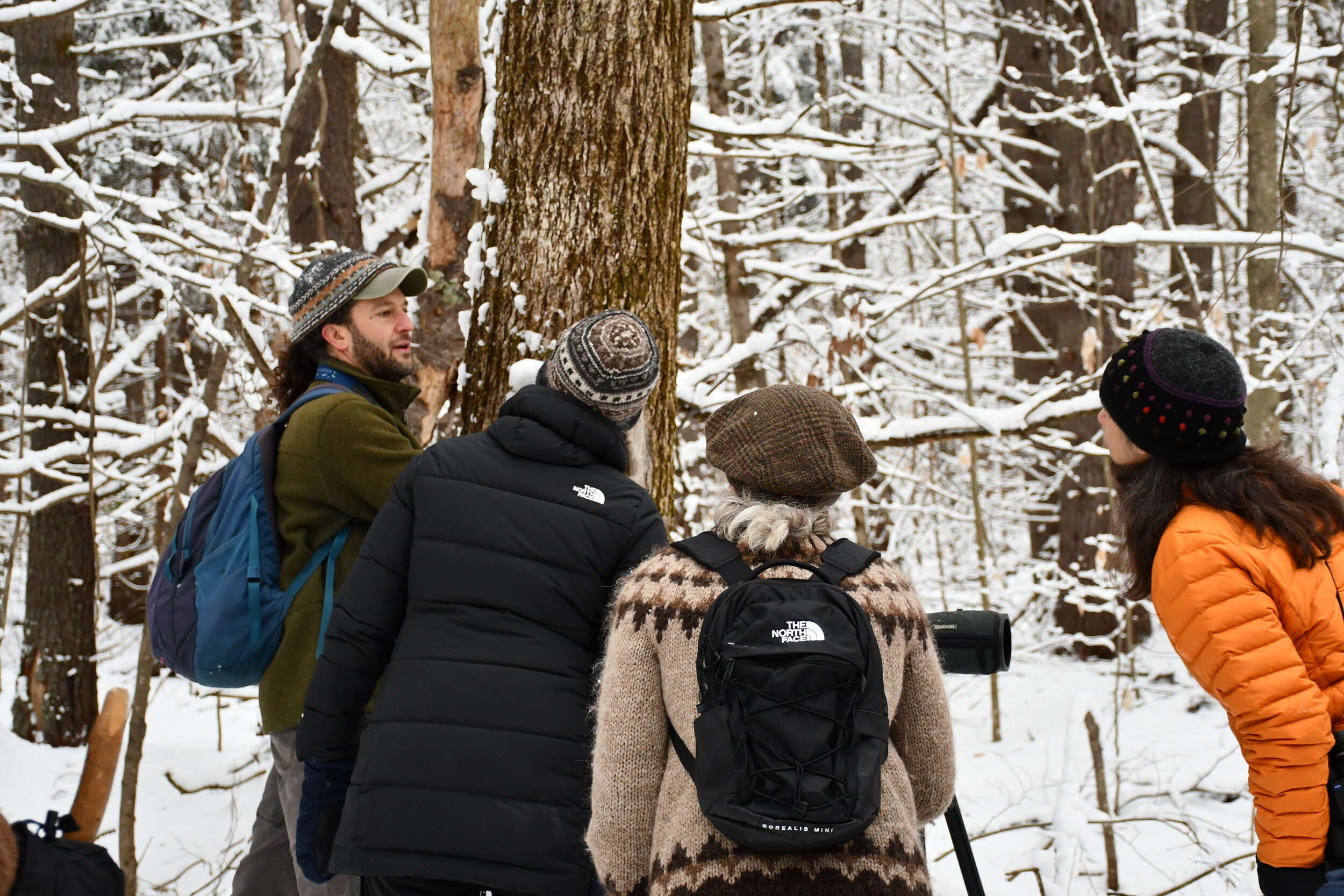 Phil explains something to three onlookers in a snowy forest. (photo © Audrey Dunn)