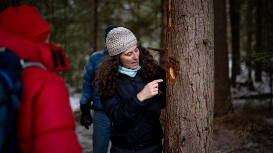 Susie points at a woodpecker hole in a tree trunk. (photo © Ben Conant)