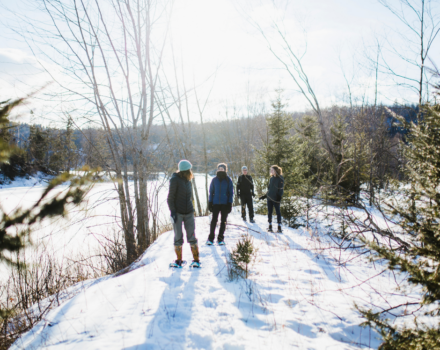 Four people snowshoeing and hiking on a sunny, snowy winter day. (photo © Canva Commons)