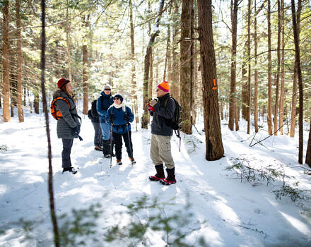 A group pauses in Hiroshi's snowy, sunlit woods. (photo © Ben Conant)