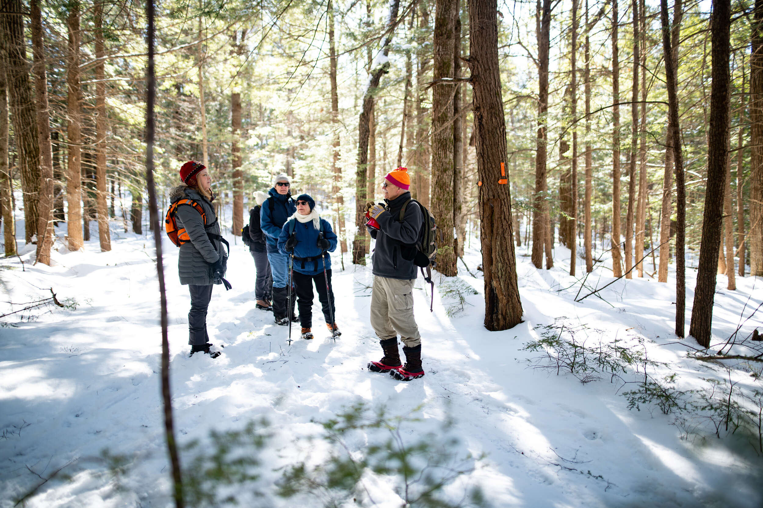 A group pauses in Hiroshi's snowy, sunlit woods. (photo © Ben Conant)