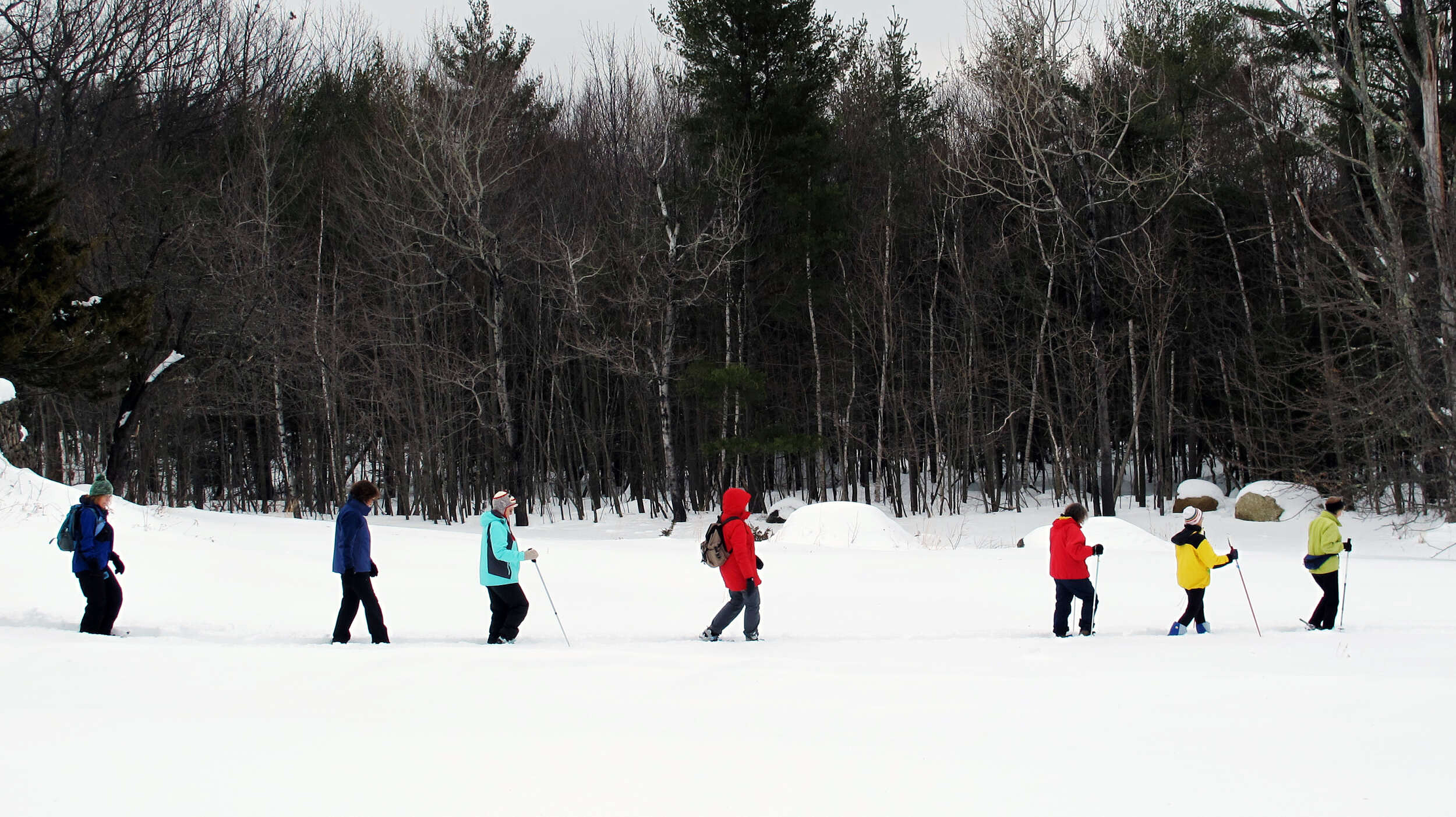 Snowshoers walk in a line through the snow. (photo © Brett Amy Thelen)