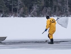 A man in a yellow dry suit stands on ice and holds a large net, approaching a loon in a spot of open water. (photo © Brian Reilly/Loon Preservation Committee)