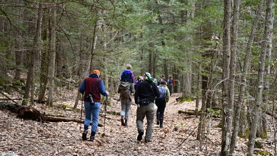 A group of hikers walk down a forest path in early spring. (photo © Audrey Dunn)