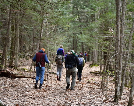 A group of hikers walk down a forest path in early spring. (photo © Audrey Dunn)