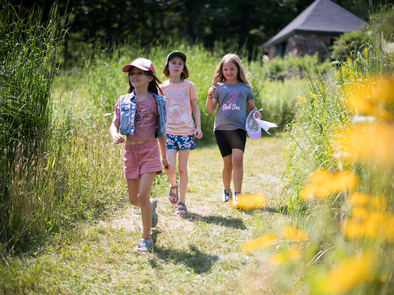 Three girls walk through the Harris Center meadow. (photo © Ben Conant)