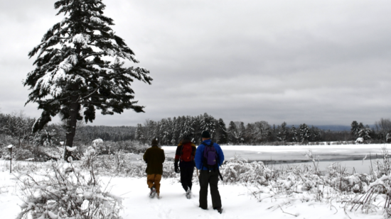 Three hikers walk in the snow near a frozen pond. (photo © Audrey Dunn)