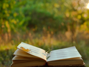 A book of poetry with a leaf and flowers lying on its open pages. (photo © Canva Commons)