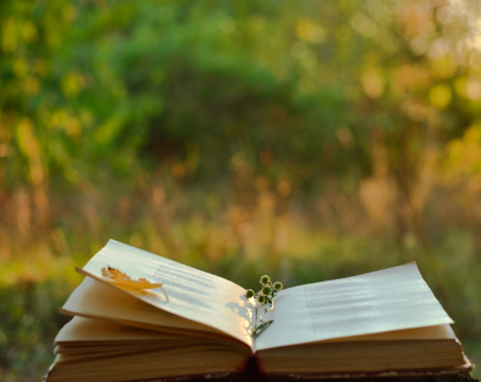 A book of poetry with a leaf and flowers lying on its open pages. (photo © Canva Commons)