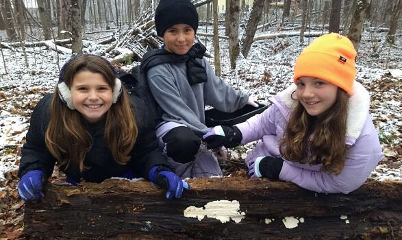 Chesterfield 5th graders ventured into the outdoors to discover fungi firsthand. (photo © Laura White)