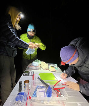 Staff and volunteers assist with data entry at the banding table.<br/>(photo © Brett Amy Thelen)