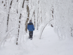 Annamarie Saenger snowshoes through a snowy winter wonderland.
