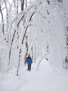 Annamarie Saenger snowshoes through a snowy winter wonderland.