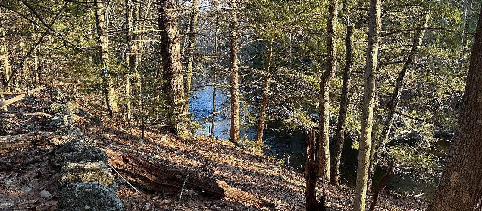 A scenic walking trail along Nubanusit Brook in Harrisville. (photo © Jeremy Wilson)