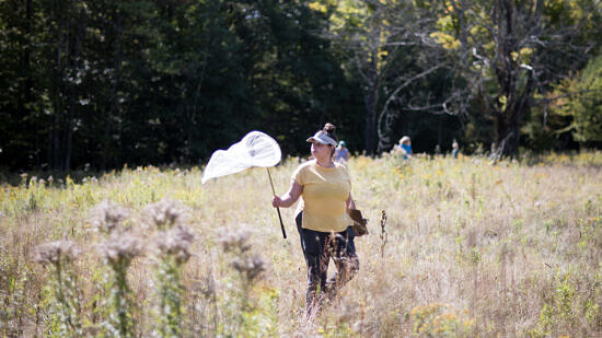 A woman walks through a field holding a butterfly net. (photo © Ben Conant)