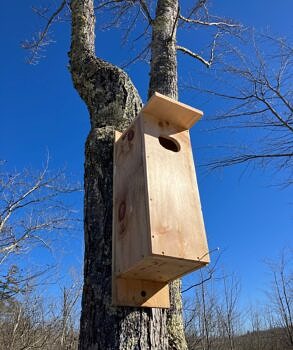One of 10 new wood duck boxes donated installed on SuperSanctuary lands in 2024. (photo © Phil Brown)