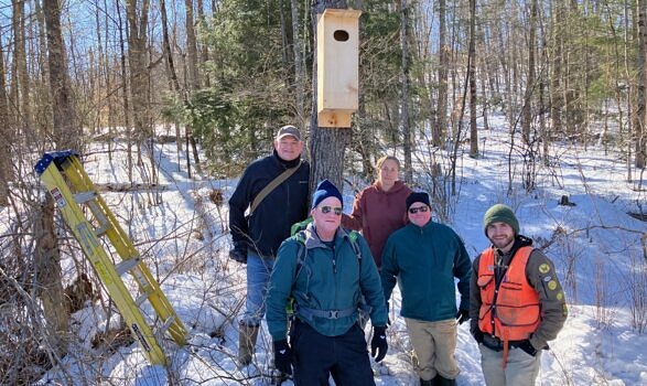 Many thanks to the Monadnock Chapter of Ducks Unlimited (DU) and Cub Scout Pack 8 from Peterborough for building and donating 10 Wood Duck boxes to the Harris Center! DU volunteers also helped install five of those boxes, including the one seen here.(photo © Phil Brown)