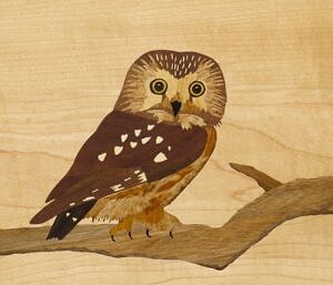 A piece of marquetry art by Craig Altobello, depicting a saw-whet owl perched on a branch.