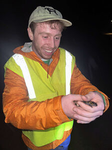 A young man wearing a reflective vest smiles while looking at a spotted salamander in his hands. (photo © Chloe March)