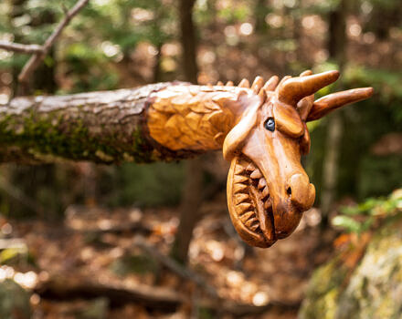 A dragon head carved out of a fallen tree. (photo © Tom Momeyer)