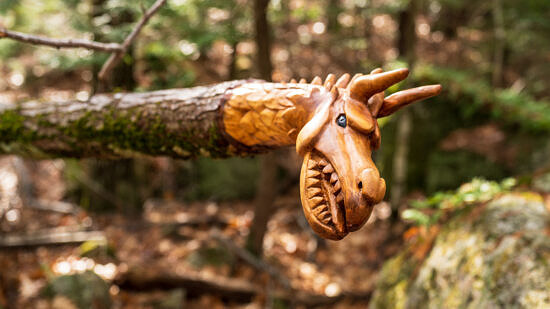 A dragon head carved out of a fallen tree. (photo © Tom Momeyer)