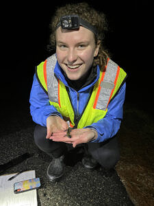 A person wearing a reflective vest and headlamp is smiling while holding a spotted salamander in their hand. (photo © Jenny Wooster)