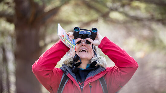 A woman in a red jacket looks up through binoculars. (photo © Martha Duffy)