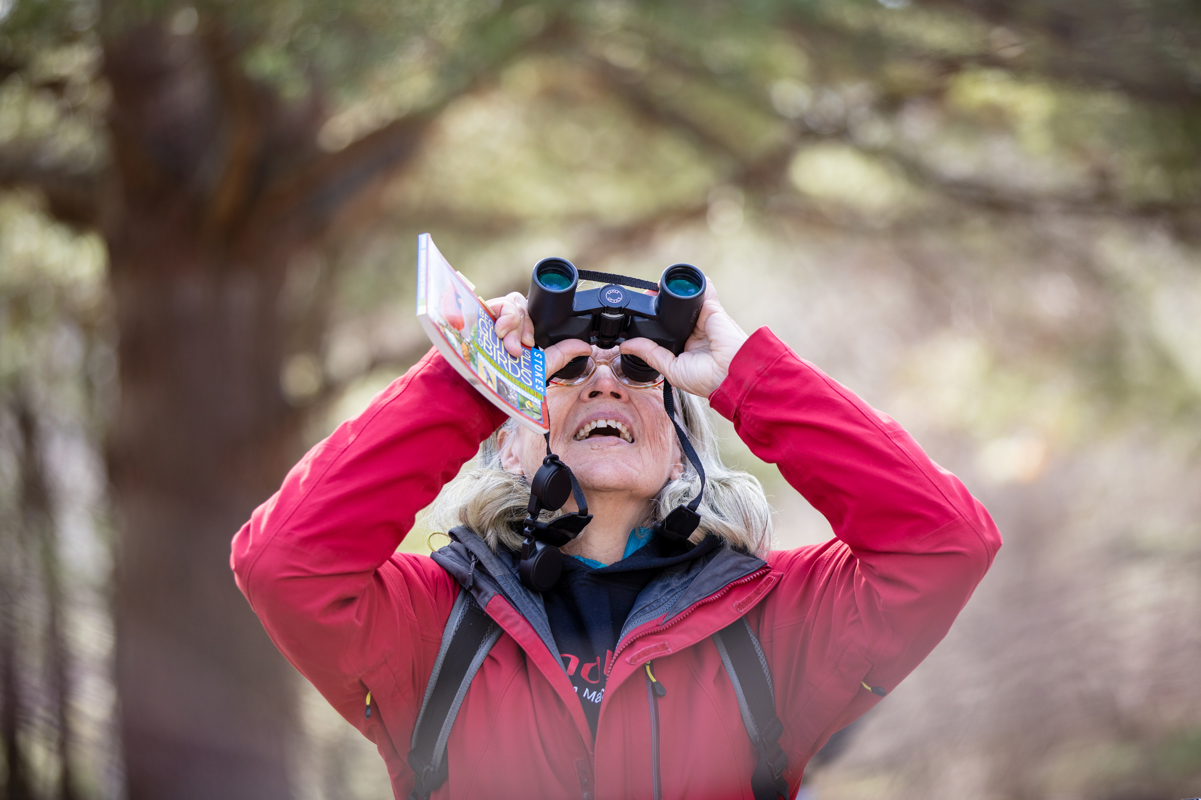 A woman in a red jacket looks up through binoculars. (photo © Martha Duffy)