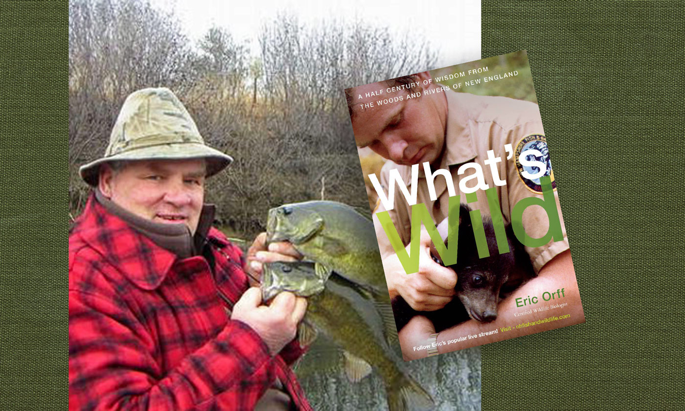 Eric Orff holds two bass fish and the cover of his new book What's Wild (Photo © Eric Orff)