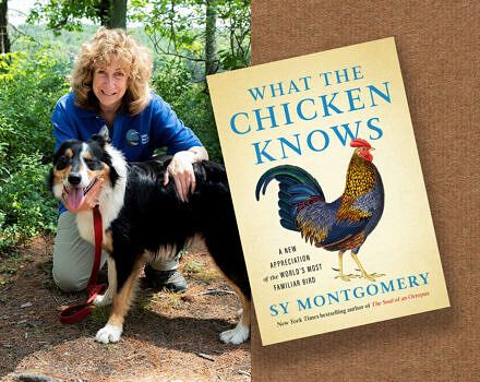 Sy Montgomery with her dog Thurber and the cover of her new book What the Chicken knows (Photo © Michael Sterling)